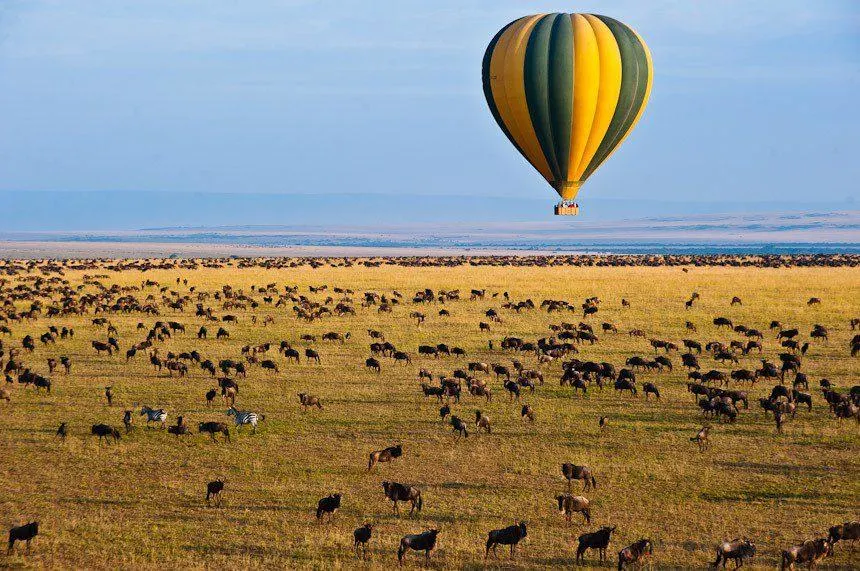 Viewing the great migration from hot air balloon in maasai mara kenya